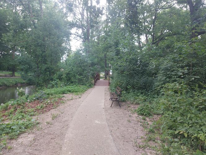 Park im. Szafera w Rzeszowie 