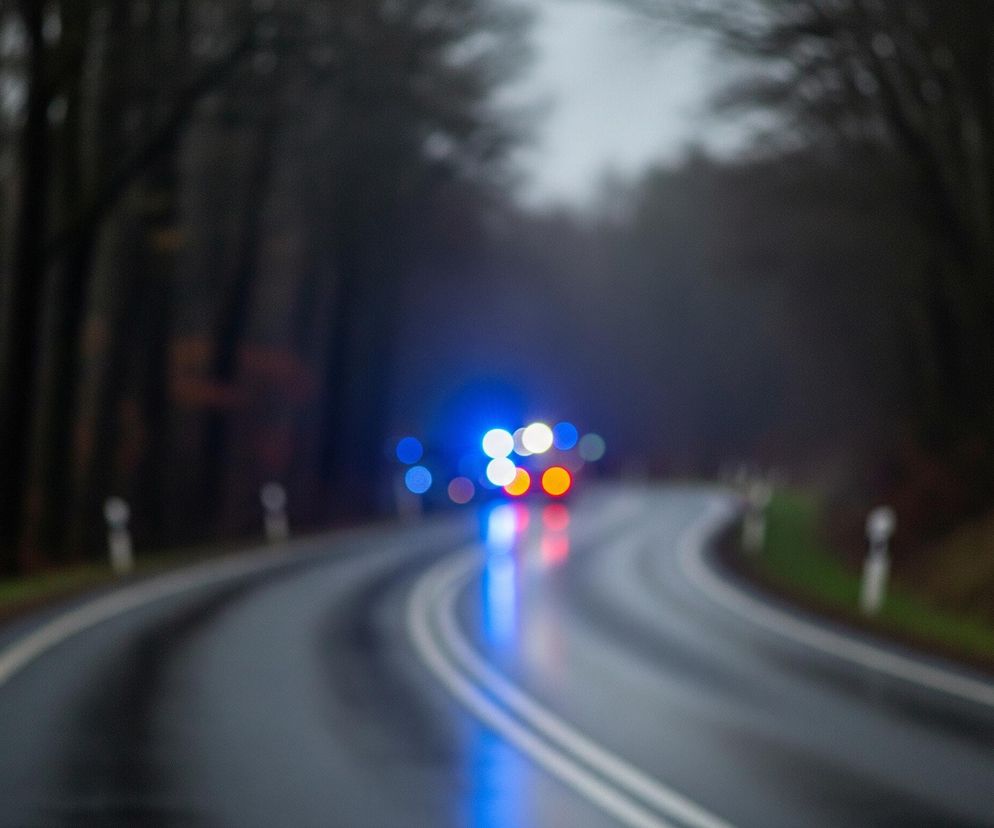 Droga asfaltowa, zwilżona deszczem, wijąca się w oddali, stanowi centralny element kompozycji. Na niej widoczne są podwójne białe linie rozdzielające pasy ruchu, odbijające niebieskie światło. W głębi, rozmyte światła pojazdu, w tym intensywne niebieskie, pomarańczowe i białe, dominują na ciemnym tle lasu. Po bokach drogi, na trawiastej skarpie, stoją białe słupki drogowe, a dalej rozciąga się ciemny, rozmazany las z bezlistnymi drzewami.