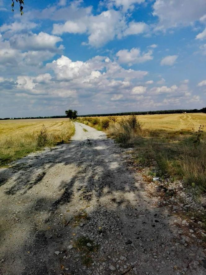 Zdjęcia Poznania od naszych Czytelników. Sprawdź te niesamowite ujęcia!