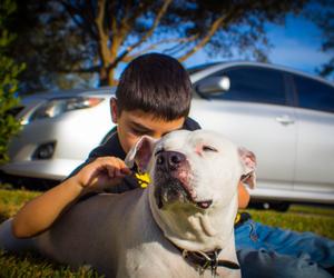 Chłopiec był w ogrodzie, nagle rodzice usłyszeli ujadanie pitbulla. Ledwo uniknął śmierci