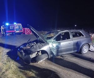 Śmiertelny wypadek pod Bełchatowem. 36-letek zderzył się z sarną [ZDJĘCIA].