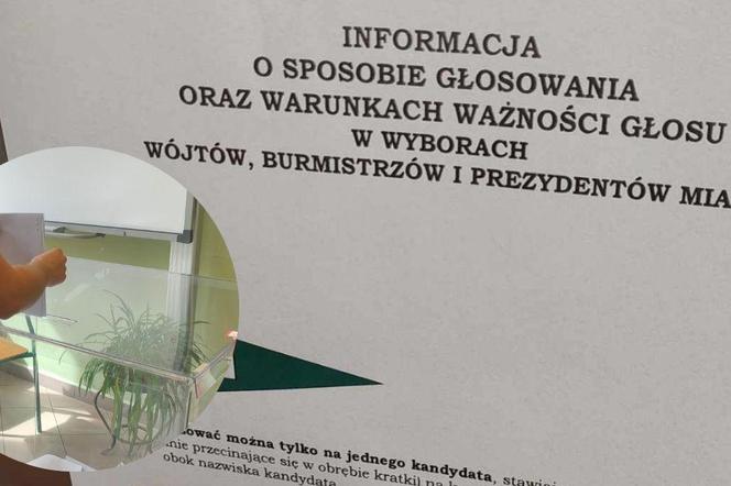 Wybory 2024 w powiecie bydgoskim. Najwyższa frekwencja jest w gminie Dąbrowa Chełmińska