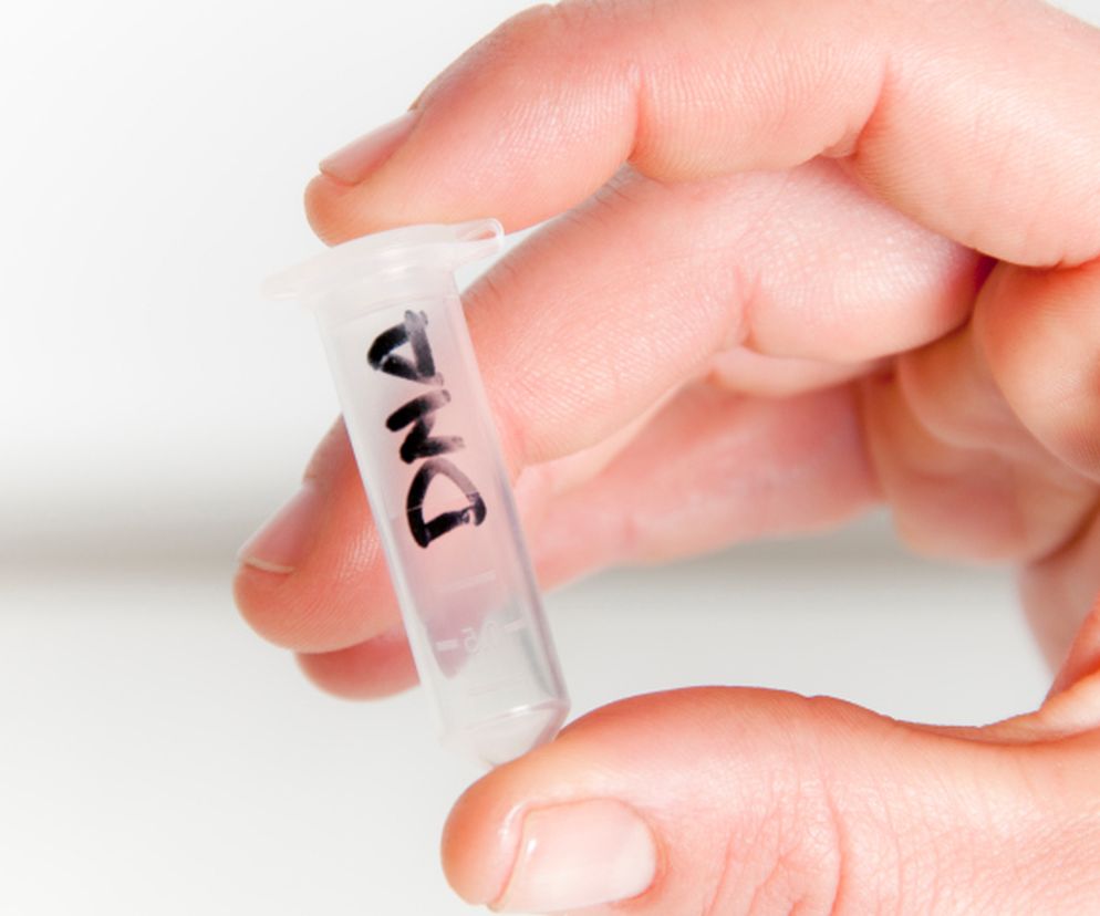 Test genetyczny na Chlamydia trachomatis