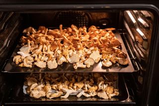 Jak suszyć grzyby w piekarniku, żeby nie straciły aromatu? Prosty sposób krok po kroku