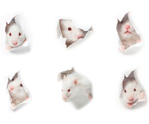 Delirium alkoholowe (biała gorączka) - przyczyny, objawy, leczenie