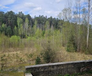 Stadion Leśny w Olsztynie dawniej i dziś. To tam bito rekordy świata w lekkiej atletyce