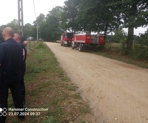 Mroczna tajemnica zaginionego 28-latka z Myszyńca. Sebastian G. zakatowany przez kolegów Makabra w lesie