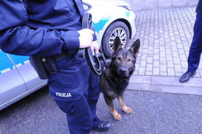 Po pijaku wjechał do rowu, zostawił auto i uciekł. Policyjny pies Bary odnalazł go w jego domu