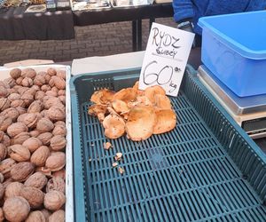 Ceny grzybów na Nowym i Starym Kleparzu w Krakowie