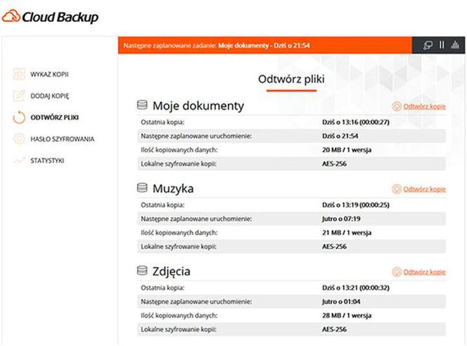 Bezpieczne przechowywanie plików w chmurze. Cloud Backup pomoże zabezpieczyć dane Twojej firmy
