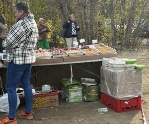 Niedzielny Targ - nowy pchli targ w Poznaniu