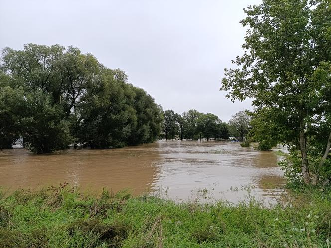 Ząbkowice Śląskie (woj. dolnośląskie)