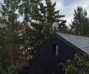 Dom w stylu nadwiślańskiej architektur