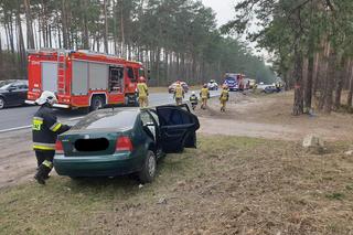 Sprawca wypadku na DK 10 pod Bydgoszczą wciąż nieznany! Ściga go policja [ZDJĘCIA] 
