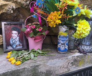 Pomnik Elvisa Presleya w Krakowie