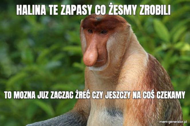 Memy o koronawirusie