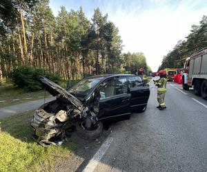 Koszmar pod Włodawą. Roztrzaskali się czołowo. Życie dwóch osób zgasło w jednej chwili