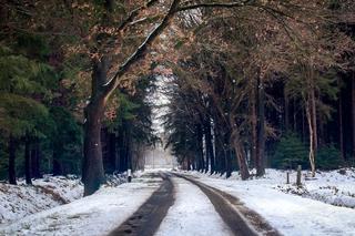 Zajeżdżony śnieg na drogach Lubelszczyzny. Kierowcy powinni zachować ostrożność 