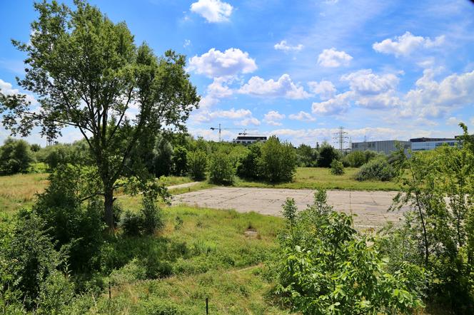 Zielone płuca Krakowa będą zabetonowane? Byłe lotnisko Rakowice Czyżyny ma stać się dojazdem do Małopolskiego Centrum Nauki