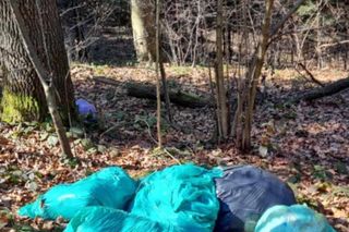 Akcja „Rezerwat” – Straż Leśna na Podkarpaciu rusza do walki z naruszeniami w rezerwatach