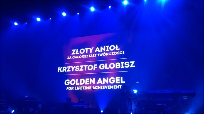 Zakończył się 17. MFF Tofifest w Toruniu - zdjęcia z gali