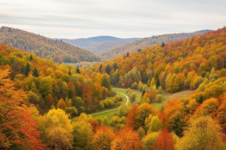 Szczyrk jesienią. Czy AI słusznie wskazała go jako najpiękniejszy?