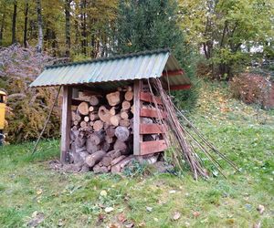 55. Rajd Pieczony Ziemniak na Działach Grabowieckich