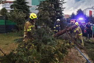 Burze i ulewy nad Polską. W tych regionach IMGW wydało czerwony alert. Prognozy mówią o trąbach powietrznych