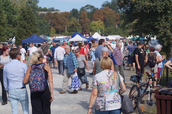 Jarmark Kujawsko-Pomorski 2023 w bydgoskim Myślęcinku 