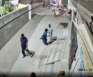 Lew rzucił się na dzieci i kobietę pośrodku ulicy! Oto, co stało się potem