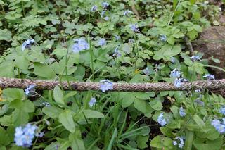 Ogród Botaniczny UKW jest jak nowy. Sprawdźcie, co się tam zmieniło!