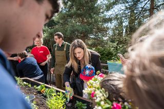 W Lublinie powstał ogród społeczny. „Zielony zakątek” to pierwsze takie miejsce w mieście