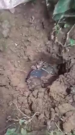 Został milionerem w sekundę! TO wpadło mu do domu przez dach