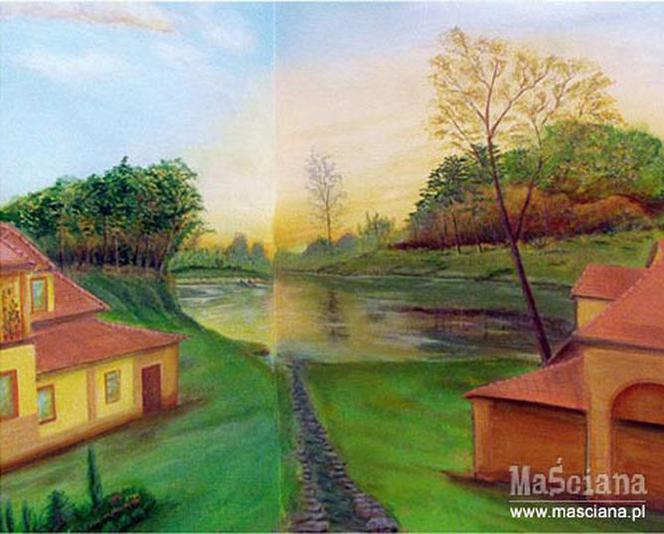 Zdjęcie 6772
