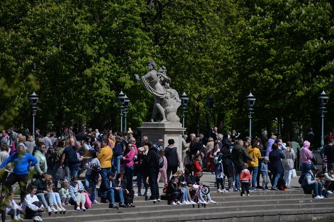 Piknik Europejski w Łazienkach Królewskich (1 maja)