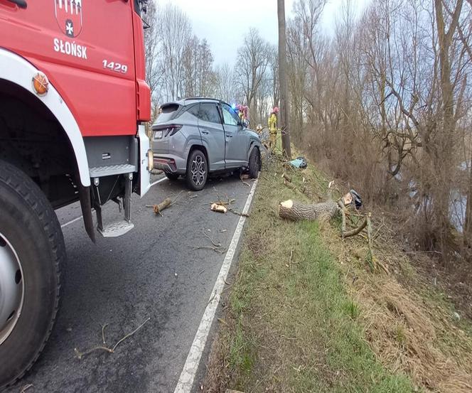 gorzów dk 22 śmiertelny 2