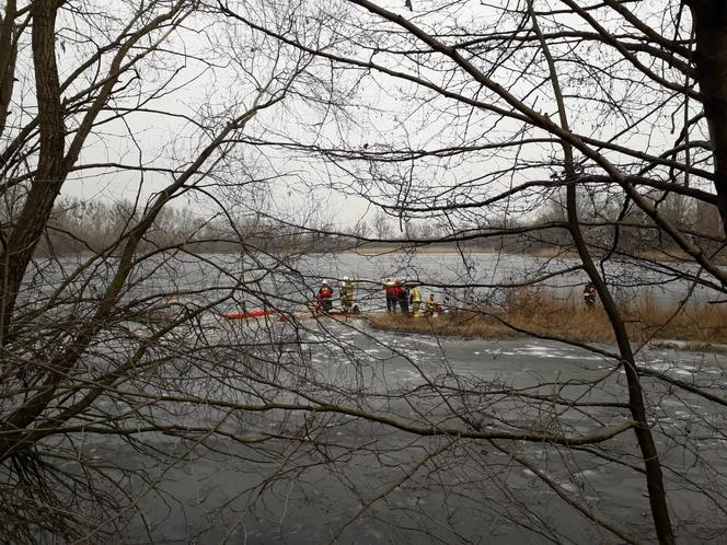 Pod mężczyzną załamał się lód! Akcja ratunkowa pod Poznaniem