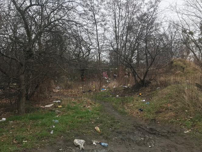 W krzakach pod blokiem na wrocławskim Gaju osiedliła się para bezdomnych!