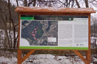 Zapomniany rezerwat w Małopolsce. Z tamtejszych drzew Wit Stwosz rzeźbił swój słynny ołtarz 