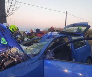 Samochód zderzył się z łosiem. Kierowca pilnie zabrany śmigłowcem LPR do szpitala