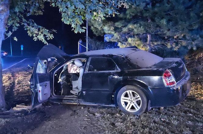 Lubelskie: 20-latek za kierownicą wjechał w drzewo. Pięć osób trafiło do szpitala