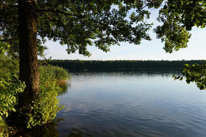 Jezioro Strzeszyńskie