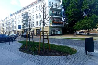 Nowe nasadzenia na Turzynie przegrały z psim moczem