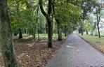 Park Kopernika w Gorzowie w jesiennej scenerii