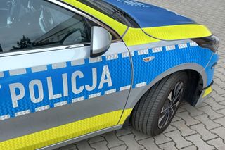 Pijany mężczyzna ukradł w Borku niedaleko Gostynia rower. Chwilę wcześniej wyszedł z więzienia