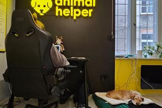 Animal Helper