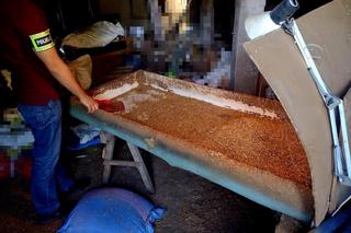 Tytoń i papierosy bez akcyzy