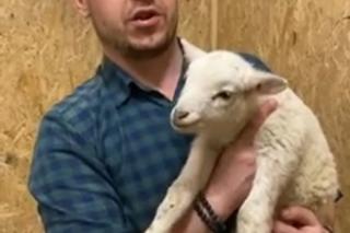 Zostałem mamą Henia