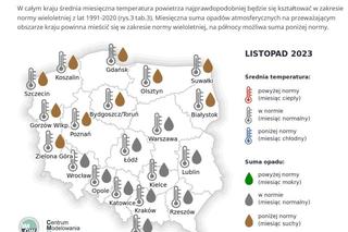 IMGW opublikowało długoterminową prognozę pogody. Jaka będzie tegoroczna zima w Polsce?