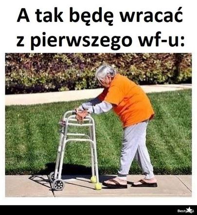 Memy o szkole 2020. Nauka u dobie koronawirusa. Żarty z nowej sytuacji 